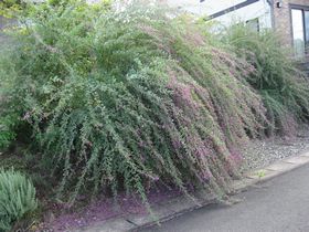 やかたの風景　⑪