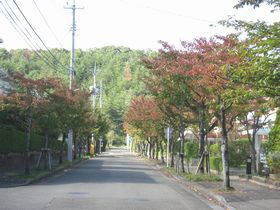 やかたの風景　⑫