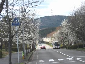 Ｈ２５　やかたの風景②