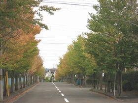 Ｈ２５　やかたの風景 ⑫ 