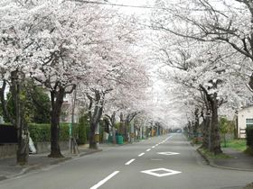 Ｈ２７年度　やかたの風景　①